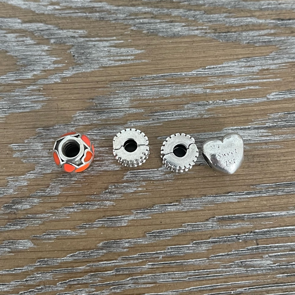 Pandora Charms